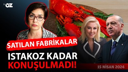 AKP’nin 22 yılının ihalesi Şebnem Bursalı’ya kaldı… ülkede her şey satılırken siz neredeydiniz ?