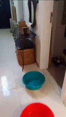 Damac Hills 2 resident show water leaking at house