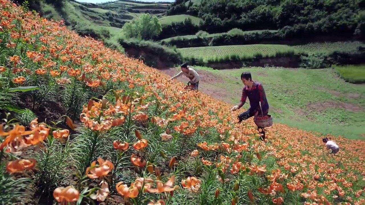 Flavorful Origins Saison 1 - Flavorful Origins: Gansu Cuisine - Season 3 (2019) HD Trailer (EN)