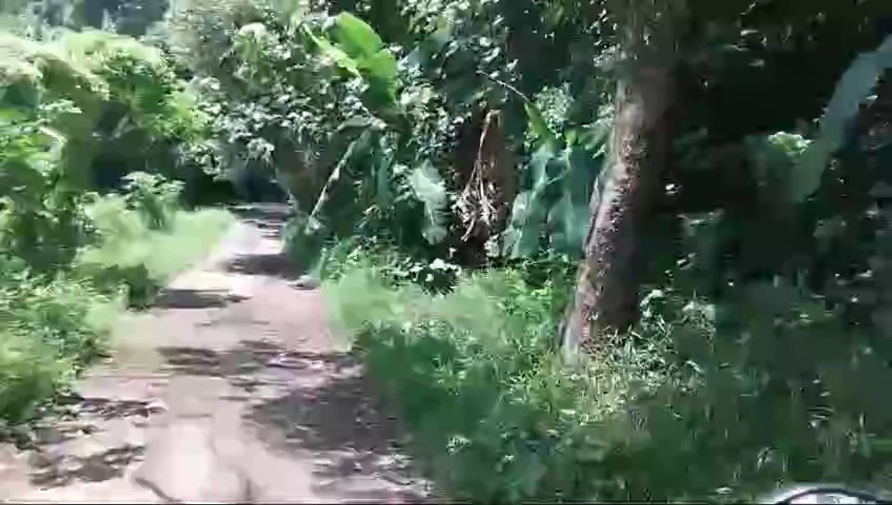 Riding hutan gunung