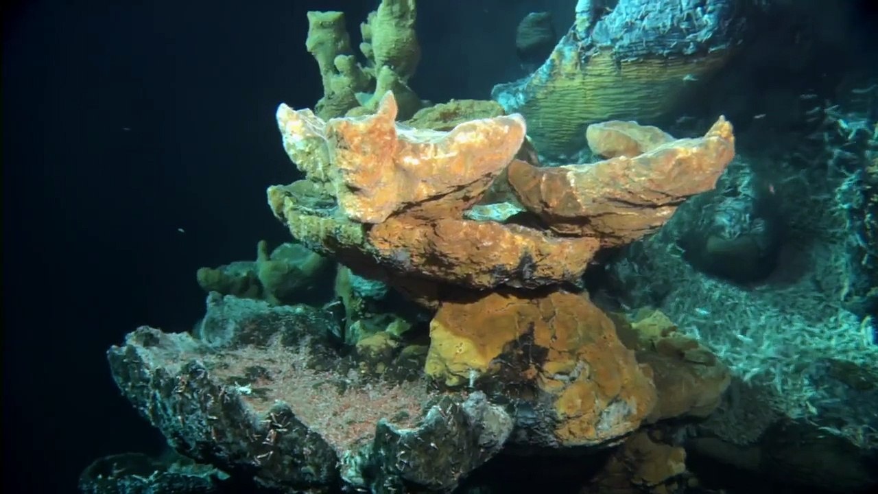 Aliens der Meere (2005) stream deutsch anschauen