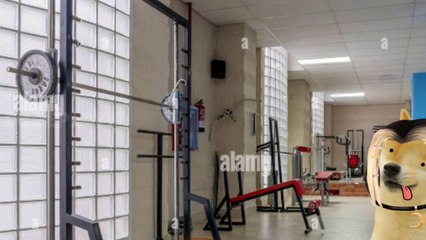 NO DEBÍ LEVANTAR ESA PESA!!! - VOID MEME CHEEMS