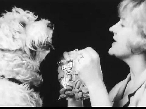 1960s Gaines variety dog food TV commercial with a talking dog