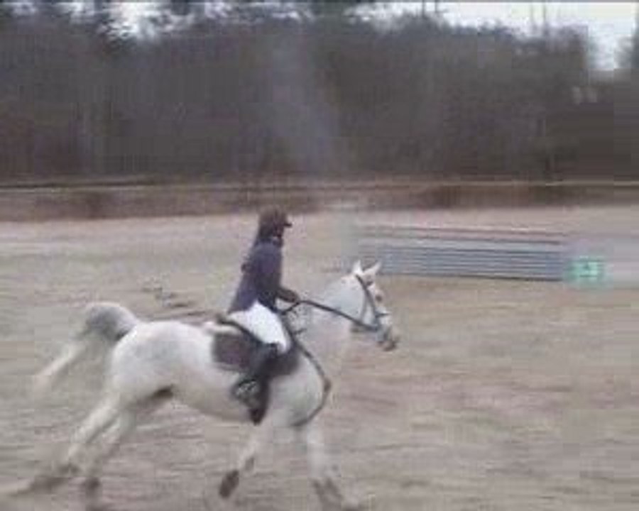 CSO-Bouleries Déesse D4P