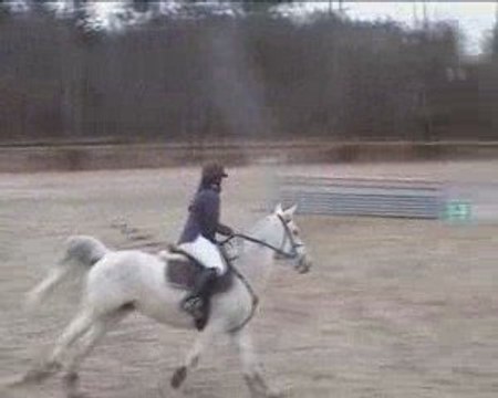 CSO-Bouleries Déesse D4P