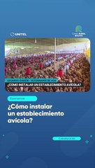 ¿Cómo instalar un establecimiento avícola?