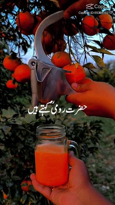 کینو کا باغ