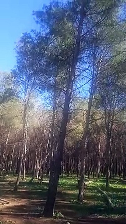 Maroc Morocco Afrique