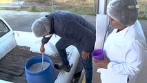 Empresas Socialmente Responsables en Jalisco priorizan leche en polvo