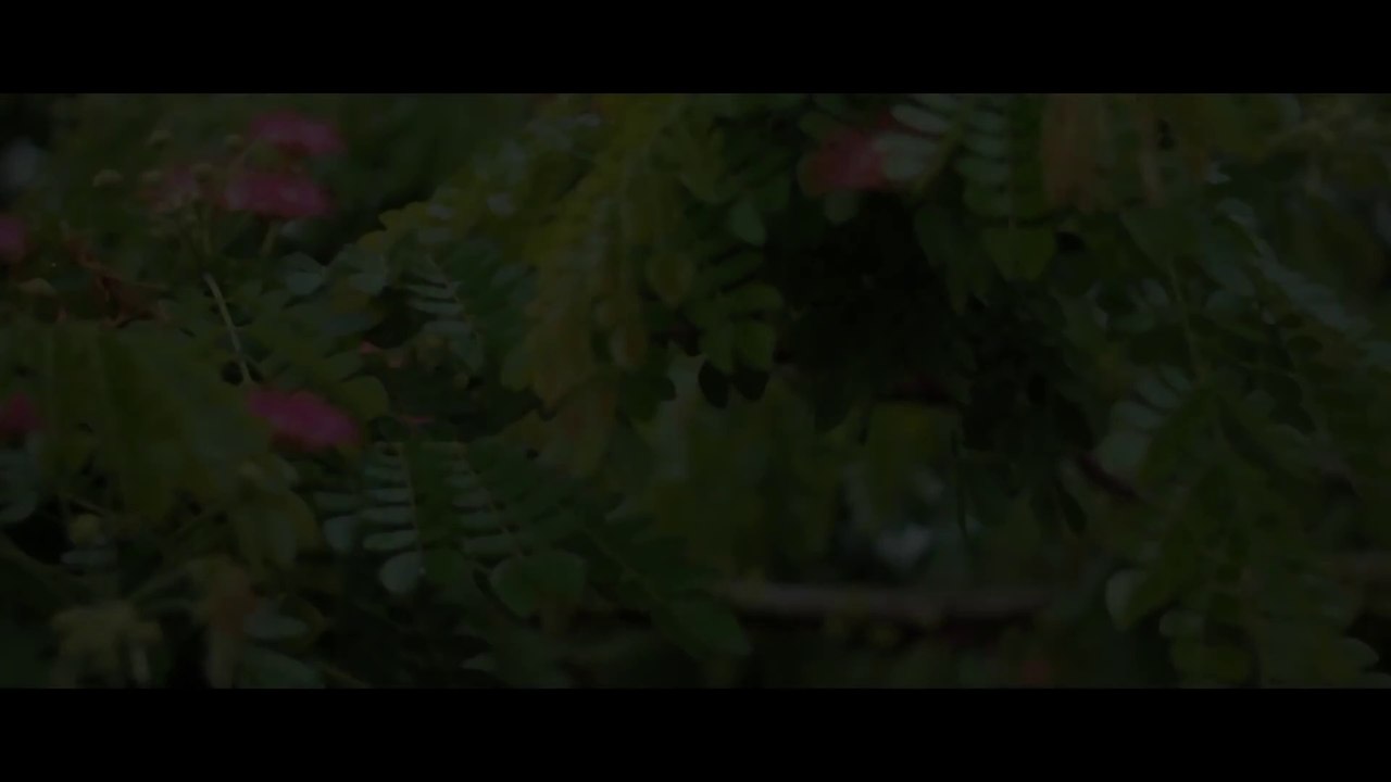 Ratih Septika - Tuduhan Tak Beralasan (Official Music Video)