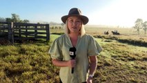 Horse riders take part in historic QLD droving re-enactment