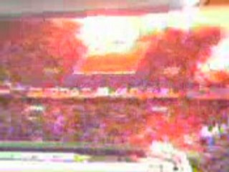 Le parc des princes
