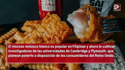 Las papas fritas con gusanos podrían ser el próximo superalimento