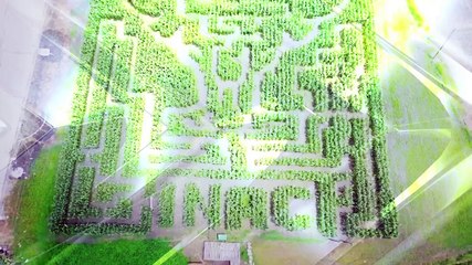 Abangan sa 24 Oras Weekend ngayong April 13, 2024, 5:30pm