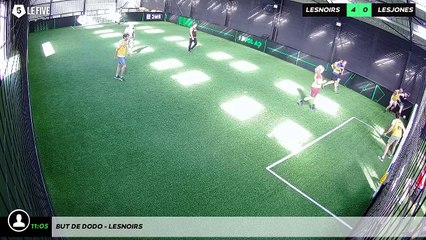 But de dodo - lesnoirs