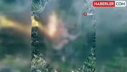 Kemah'ta köpeklere işkence eden kişi gözaltına alındı