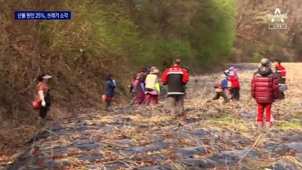 산불 원인 25%는 쓰레기 소각
