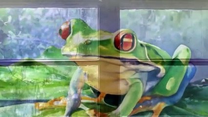 La pequeña rana que trajo la lluvia - Voces en susurro (08/05/2024)