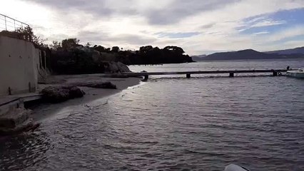 Giens-Port de la Madrague 2024