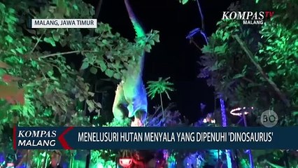 Menelusuri The Lost Paradise, Hutan Menyala yang Dipenuhi Dinosaurus di Malang