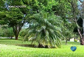 Oração Chave de Harmonia - Orações de Paz #12