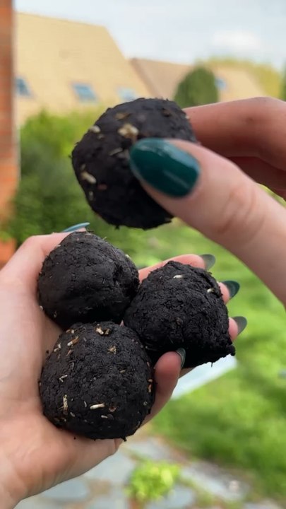 Bombes de graines !