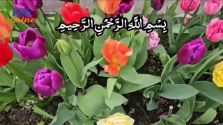 Surah At-Tariq full With Urdu Translation By 786 Cuisine | Surah Tariq  | سورۃ الطارق