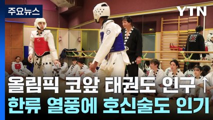 올림픽 앞둔 프랑스, 태권도 인구 증가...'한류·호신술'로 입소문 / YTN