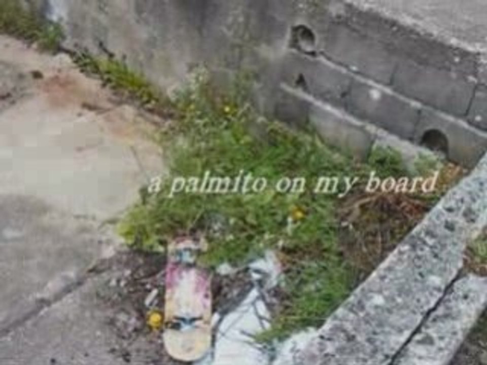 a palmito on my board (intro)