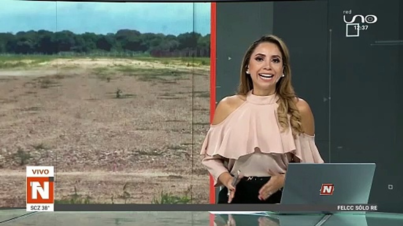 subtitulado
