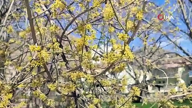 Bu şehrin bir yanı bahar bir yanı kış