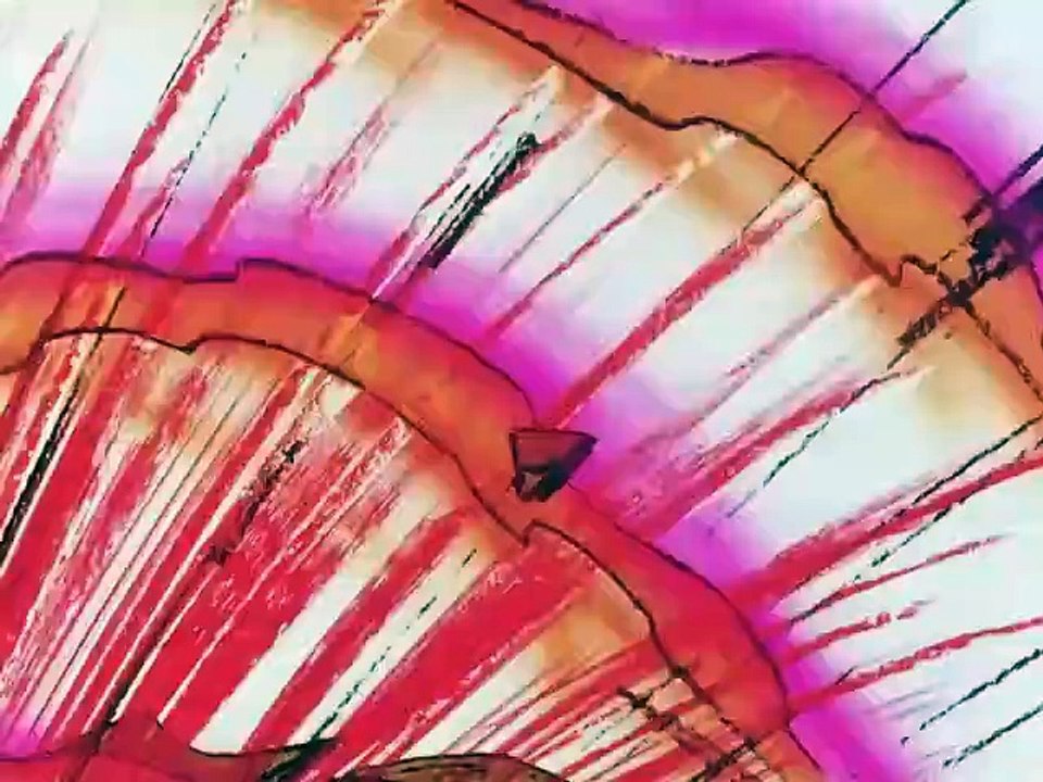Baldios # episodio 20/34 # Il Demone Dello Spazio  part 1/2 #