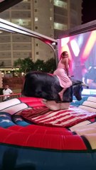 bull riding highlights (3)