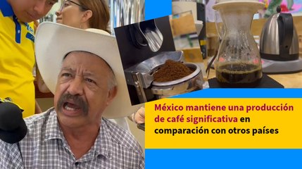 México mantiene una producción de café significativa en comparación con otros países