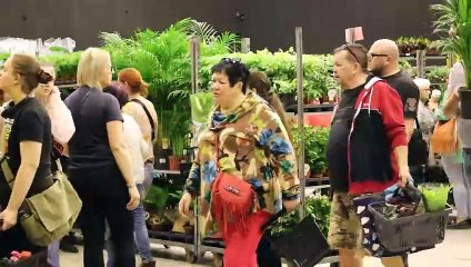 Festiwal roślin Katowice