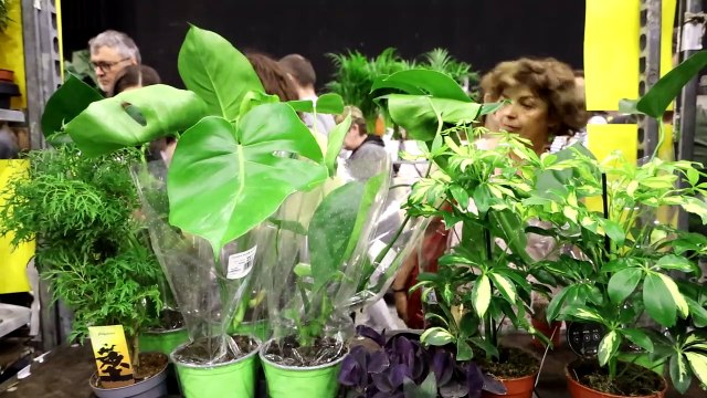 Targi terrarystyczne w Katowicach