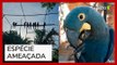 Nove araras-azuiss-de-lear são devolvidas à natureza na Bahia