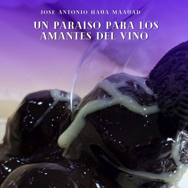 José Antonio Haua Maauad- Europa: Un Brindis por un Continente de Sabores Vinícolas: