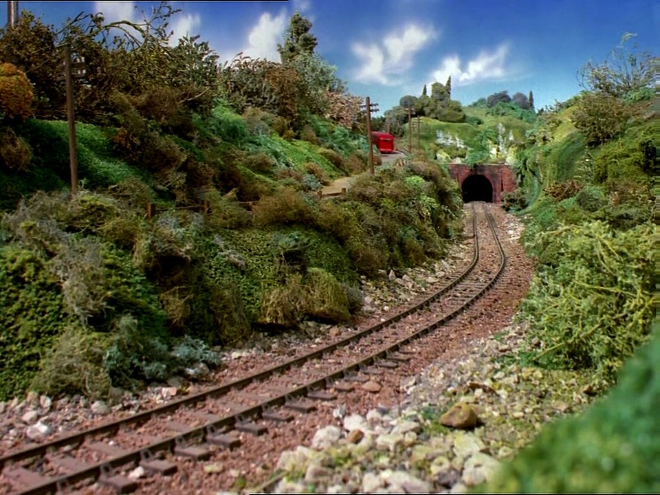 Bertie's chase
