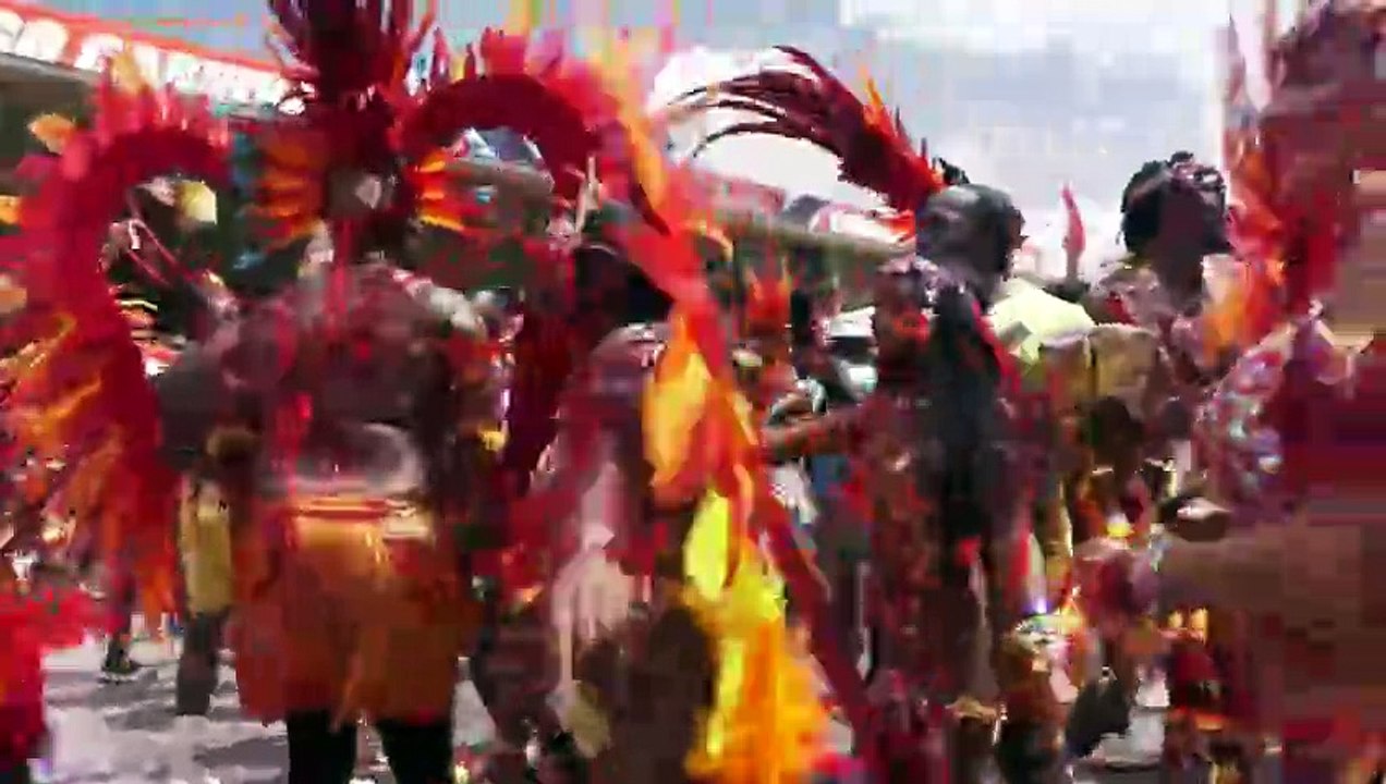 WHO OWNS CARNIVAL? A UWE OUTSIDE SERIES