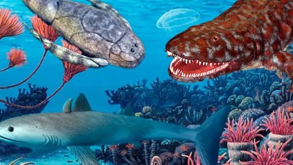 A SEXTA EXTINÇÃO EM MASSA JÁ COMEÇOU_