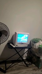 closing to the wizard of oz