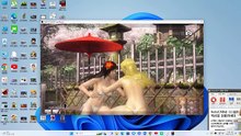 데드오얼라이브 수영복2