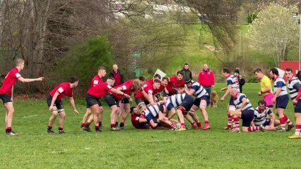 Moray 39 Linlithgow 37