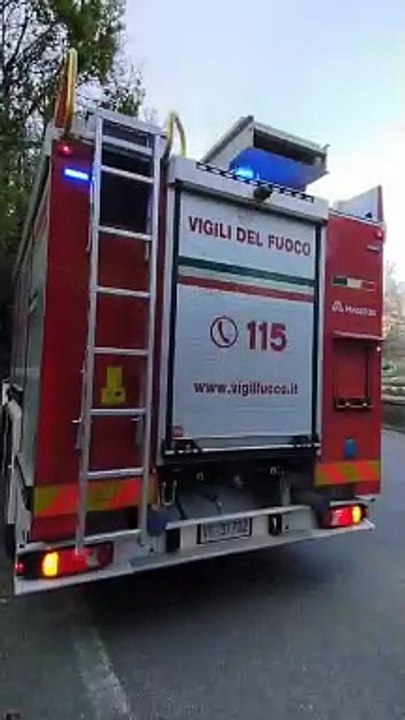 Incendi Calabria
