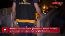 Adana'da Rottweiler dehşeti! 4 yaşındaki kız ölümden döndü