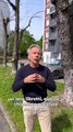 Il video in cui Giovanni Storti denuncia le potature scellerate del Comune di Milano