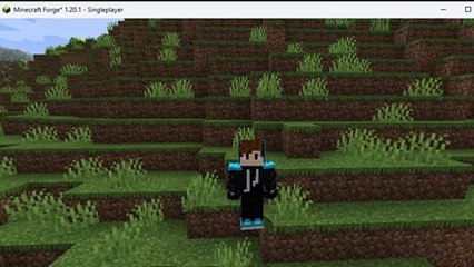 Minecraft WORLD SINGLEPLAYER video