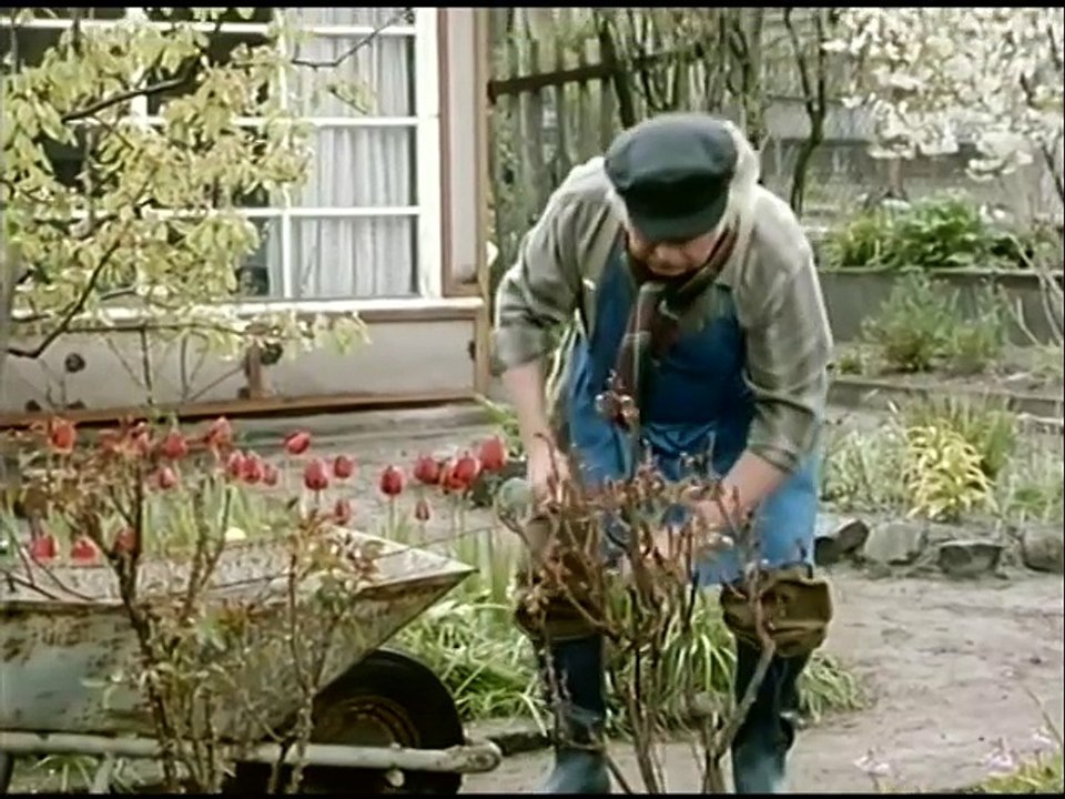 Drei Damen vom Grill - Ganze Serie - Staffel 11/Folge 8  'Der große Hävelmann' - 1991