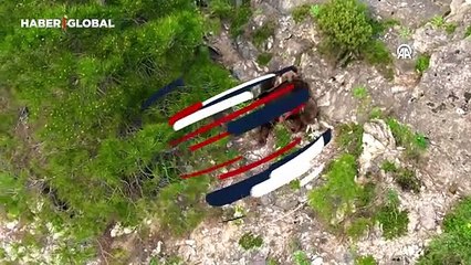 Belgeselleri aratmadı: Bozayı, balıkçıl ve çakal bir arada